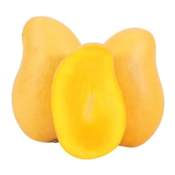 Mango ataulfo por kilo
